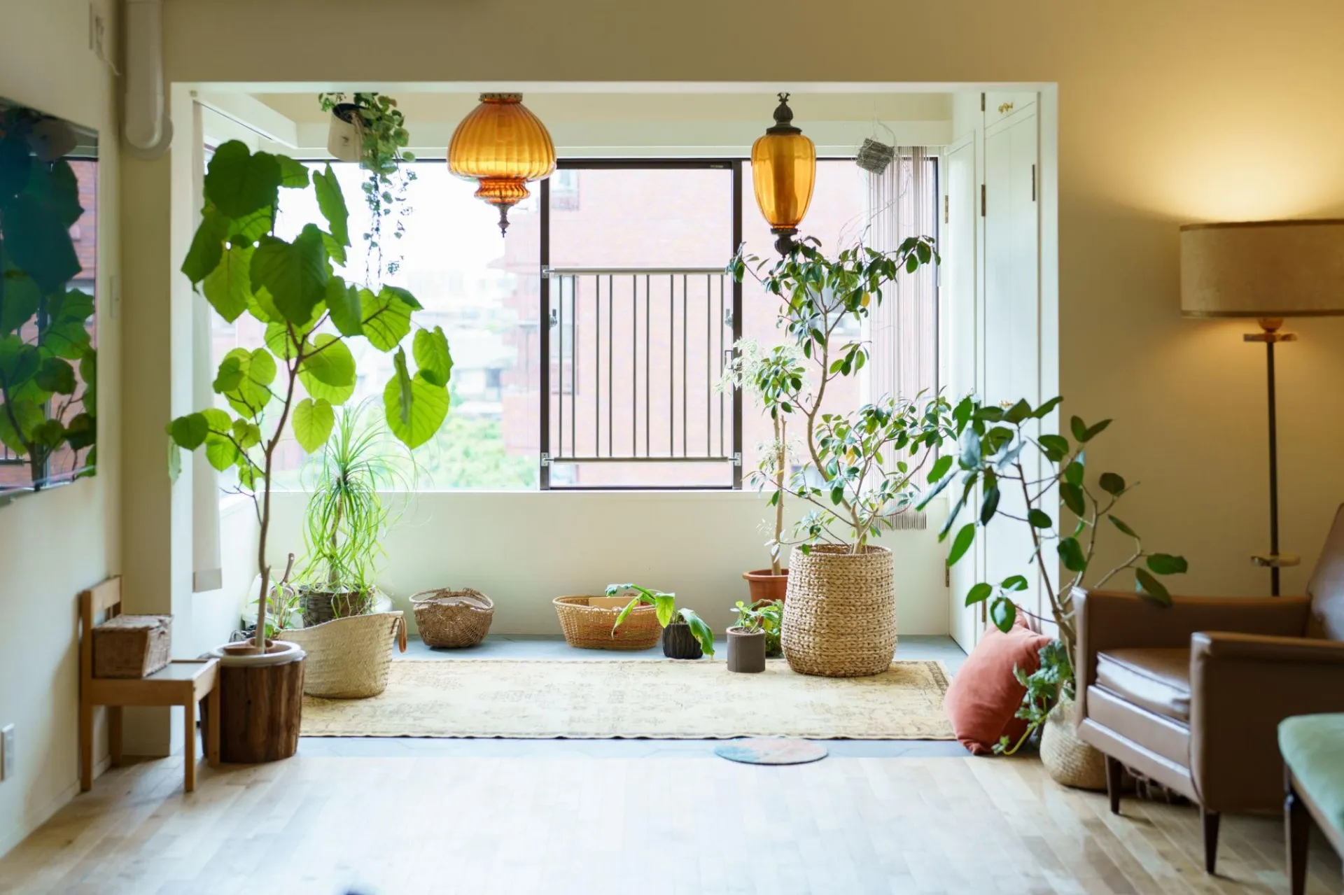 窓ガラスフィルムのUVカットと植物の成長への影響を分かりやすく解説